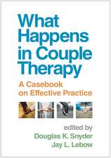 What Happens in Couple Therapy: A Casebook on Effective Practice