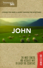 Gould, D: Shepherd's Notes: John