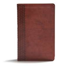 CSB Everyday Study Bible, British Tan Leathertouch