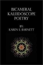 Bicameral Kaleidoscope Poetry