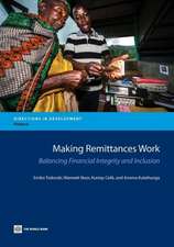 Todoroki, E: Making Remittances Work