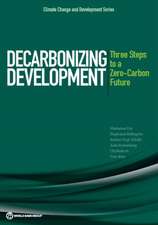 Decarbonizing Development