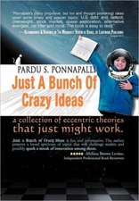 Ponnapalli, P: Just A Bunch Of Crazy Ideas