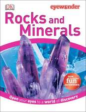 Rocks and Minerals