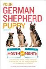 Your German Shepherd Puppy Month by Month