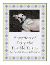 Adoption of Terry the Terrible Terrier