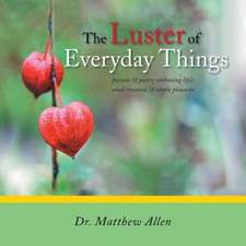 The Luster of Everyday Things