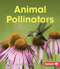 Animal Pollinators