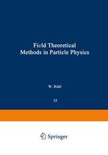 Field Theoretical Methods in Particle Physics