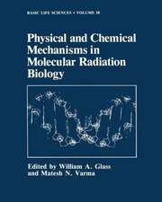 Physical and Chemical Mechanisms in Molecular Radiation Biology