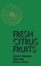 Fresh Citrus Fruits