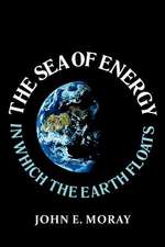 The Sea of Energy in Which the Earth Floats