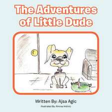 The Adventures of Little Dude