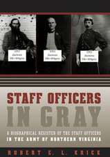 Staff Officers in Gray