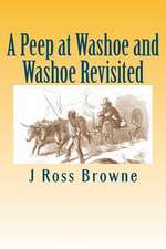 A Peep at Washoe and Washoe Revisited