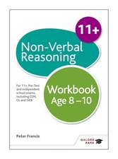 Non-Verbal Reasoning Workbook