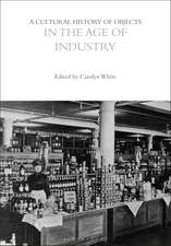 A Cultural History of Objects in the Age of Industry