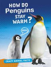 How Do Penguins Stay Warm?