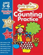 Gold Stars Counting Practice Ages 5-6 Key Stage 1