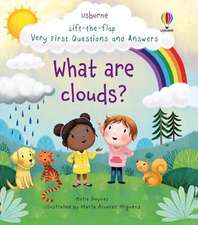 Lift-the-flap Very First Questions and Answers What are clouds?