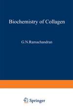 Biochemistry of Collagen