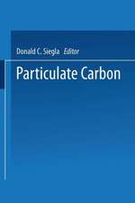 Particulate Carbon: Formation During Combustion