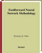 Feedforward Neural Network Methodology