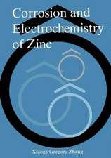 Corrosion and Electrochemistry of Zinc