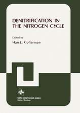 Denitrification in the Nitrogen Cycle