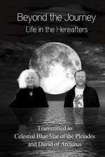 Beyond the Journey - Life in the Hereafters