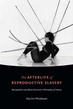 The Afterlife of Reproductive Slavery – Biocapitalism and Black Feminism′s Philosophy of History