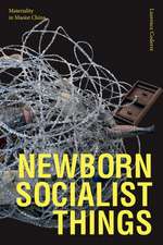 Newborn Socialist Things – Materiality in Maoist China