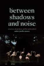 Between Shadows and Noise – Sensation, Situatedness, and the Undisciplined