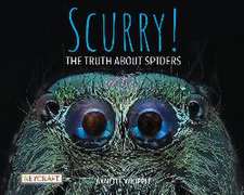 Scurry! the Truth about Spiders