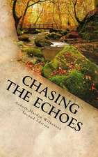 Chasing the Echoes