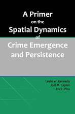 A Primer on the Spatial Dynamics of Crime Emergence and Persistence