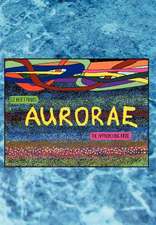 Hoffman, D: Aurorae