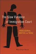 The Slow Violence of Immigration Court – Procedural Justice on Trial