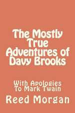 The Mostly True Adventures of Davy Brooks