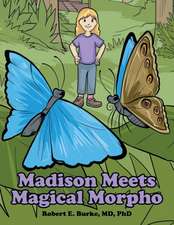 Madison Meets Magical Morpho