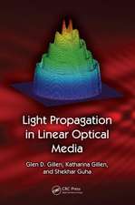 Light Propagation in Linear Optical Media