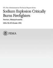 Sodium Explosion Critically Burns Firefighters