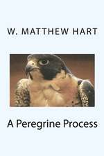 A Peregrine Process