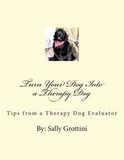 Turn Your Dog Into a Therapy Dog: Tips from a Therapy Dog Evaluator