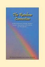 The Rainbow Connection