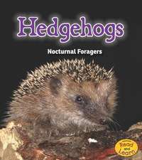 Hedgehogs: Nocturnal Foragers