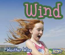 Wind