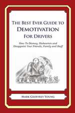 The Best Ever Guide to Demotivation for Drivers