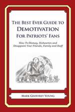 The Best Ever Guide to Demotivation for Patriots' Fans