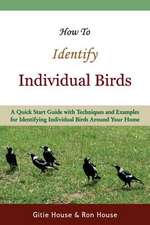 How to Identify Individual Birds